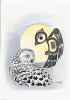 Snowy Owl